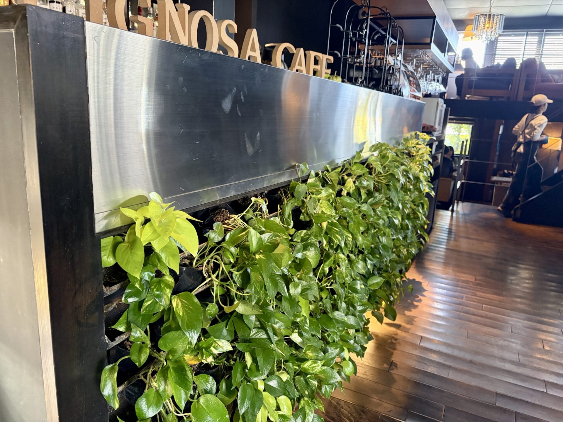 リグノーサカフェのランチ予約は必須?駐車場事情と「時間制限なし」コースの魅力をレポ