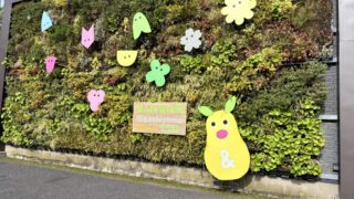 東山動植物園のチケット割引まとめ｜最安400円で買う方法【2026年最新】